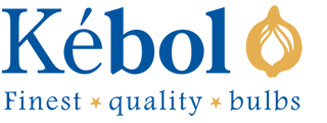 logo-Kebol